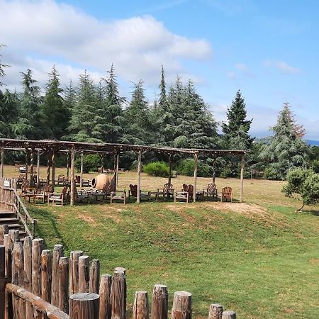 Domaine De La Vitarelle Glamping Villaniere 외부 사진