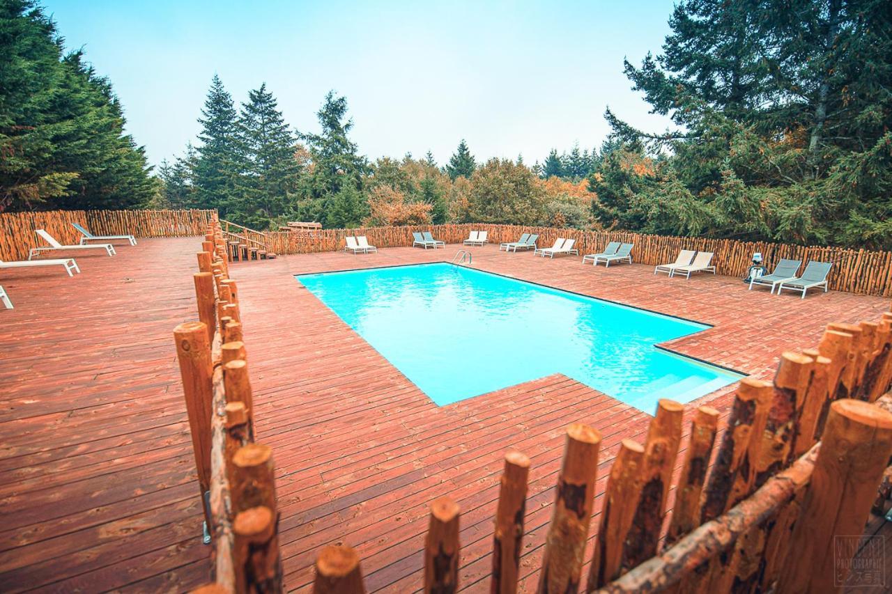 Domaine De La Vitarelle Glamping Villaniere 외부 사진