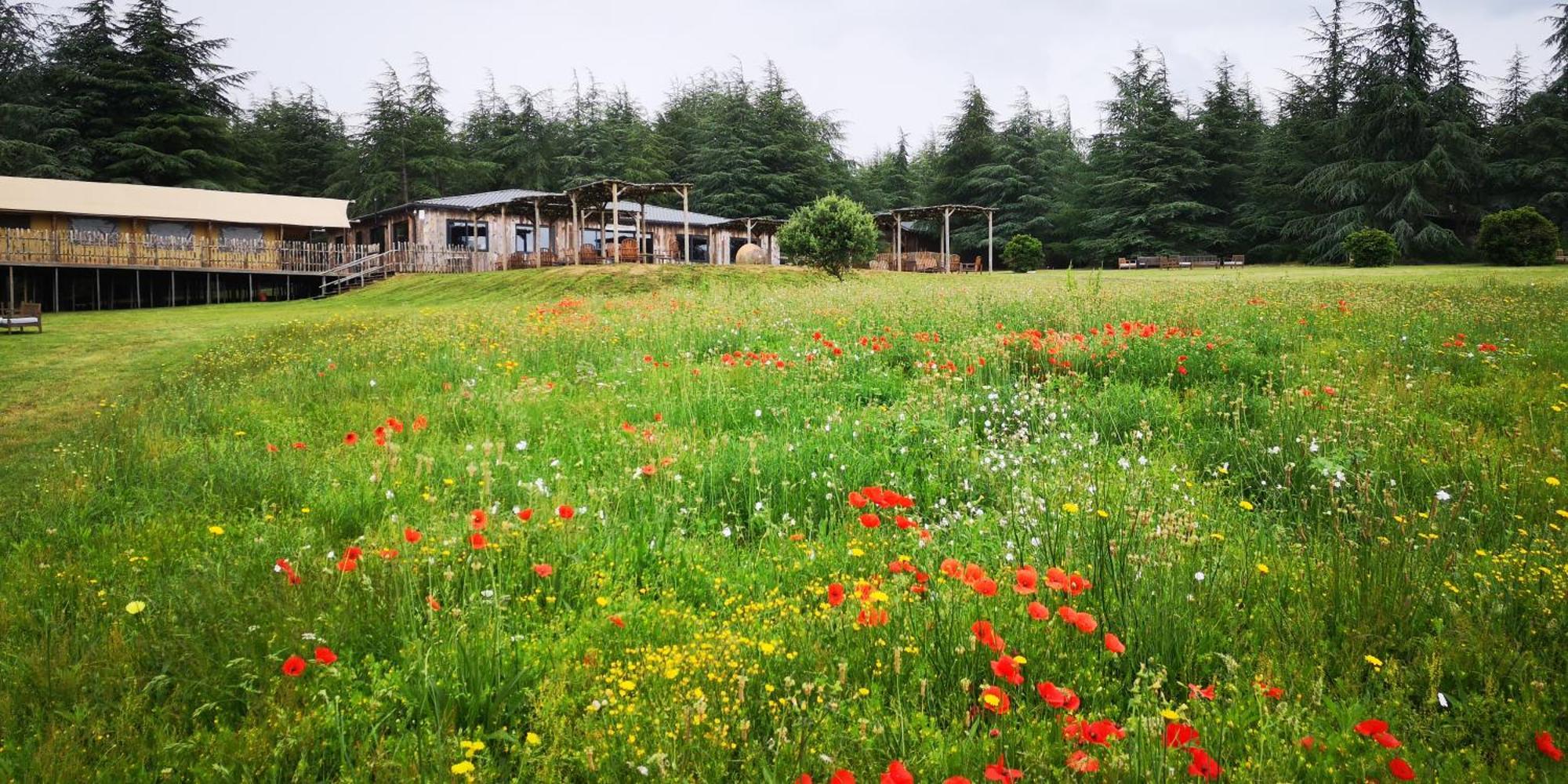 Domaine De La Vitarelle Glamping Villaniere 외부 사진