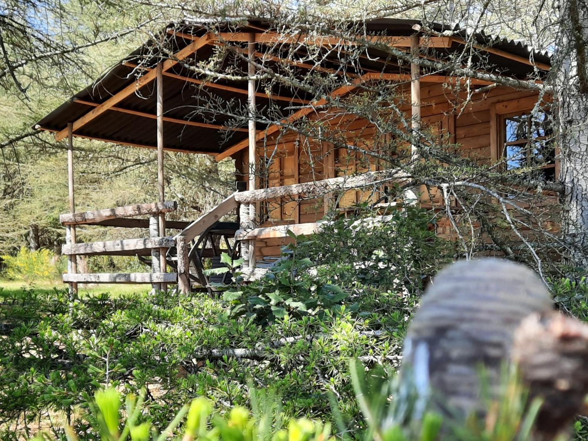 Domaine De La Vitarelle Glamping Villaniere 외부 사진