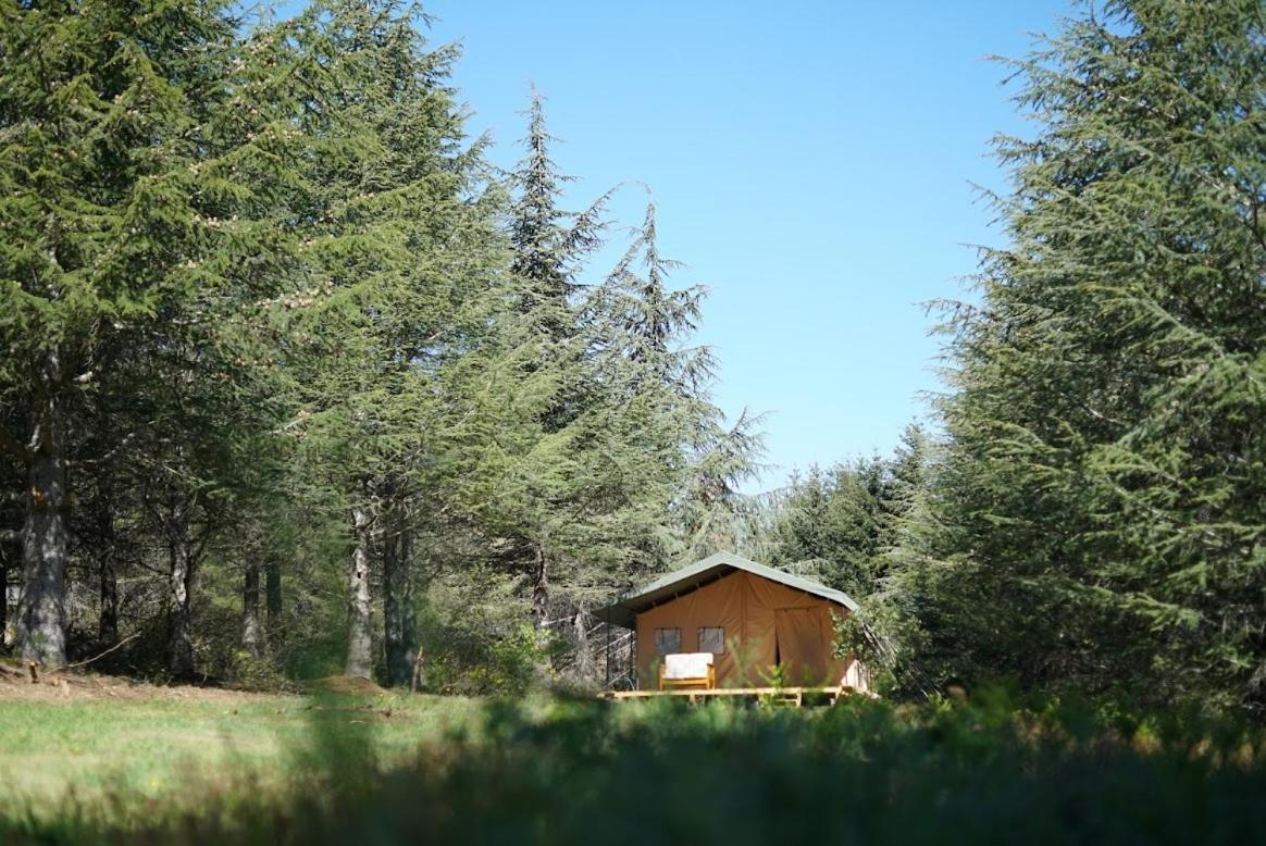 Domaine De La Vitarelle Glamping Villaniere 외부 사진