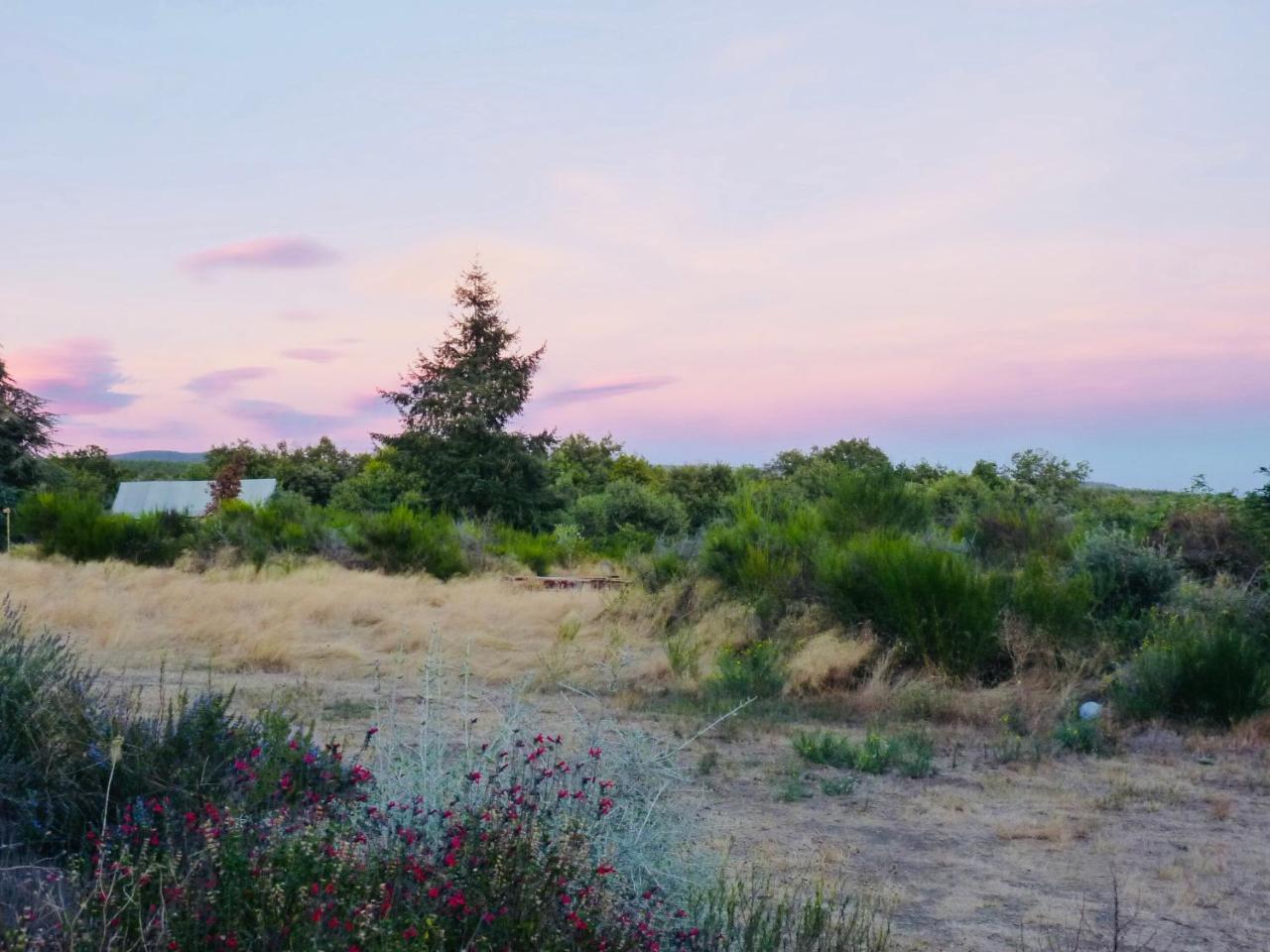 Domaine De La Vitarelle Glamping Villaniere 외부 사진